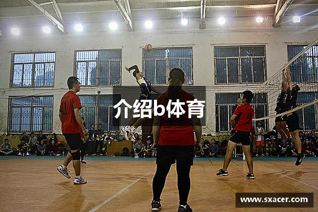 介绍b体育